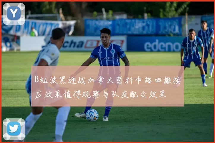 B组波黑迎战加拿大哲科中路回撤接应效果值得观察与队友配合效果